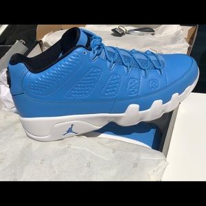 Nike Jordan  retro 9 “Pantone”